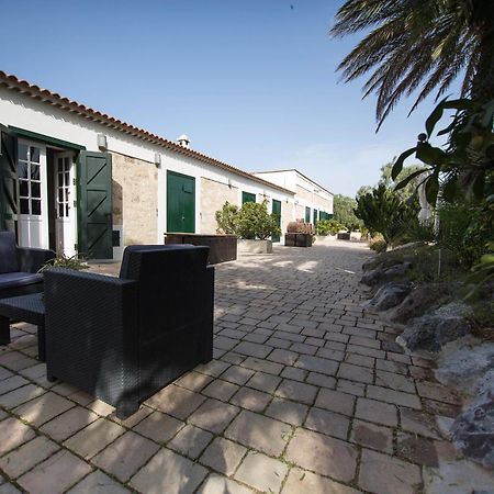 La Malvasía Arico Viejo Exterior foto