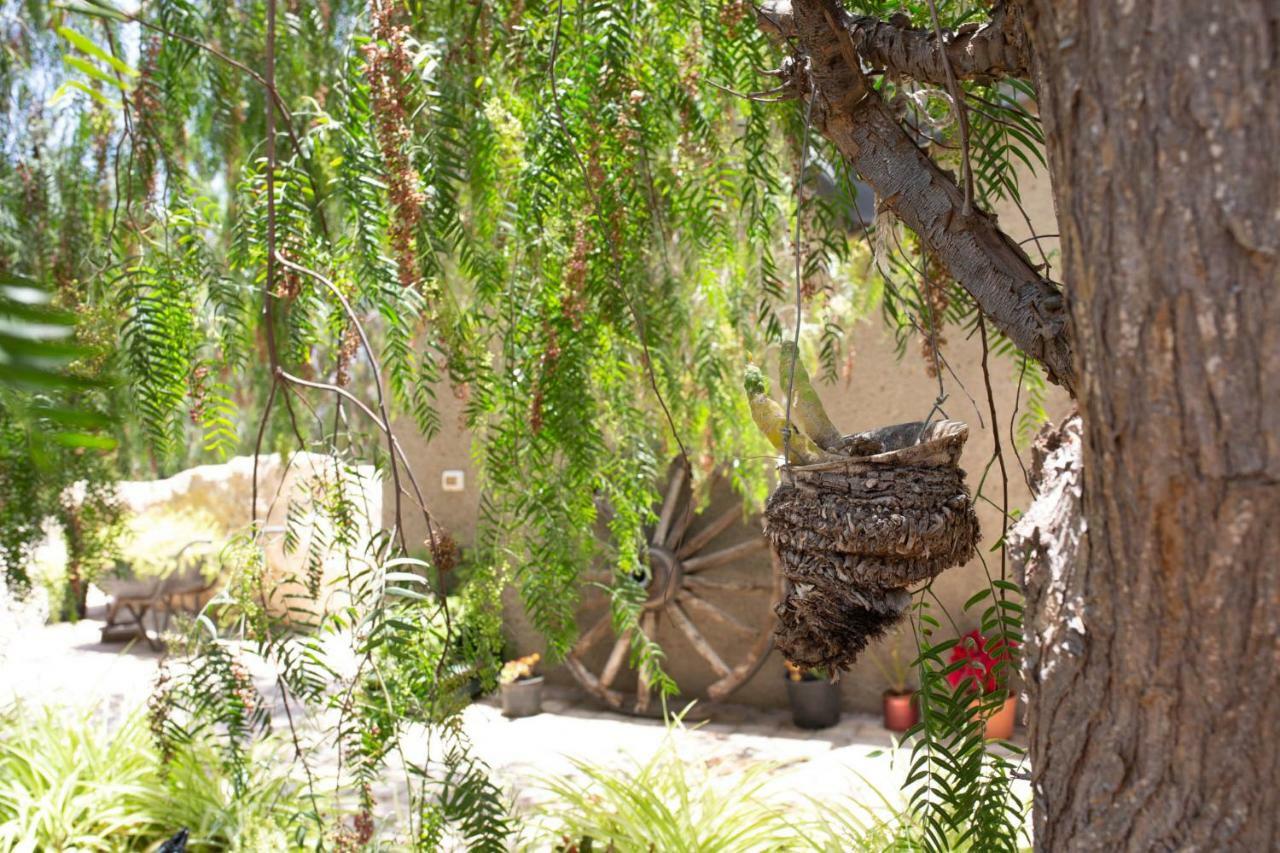 La Malvasía Arico Viejo Exterior foto
