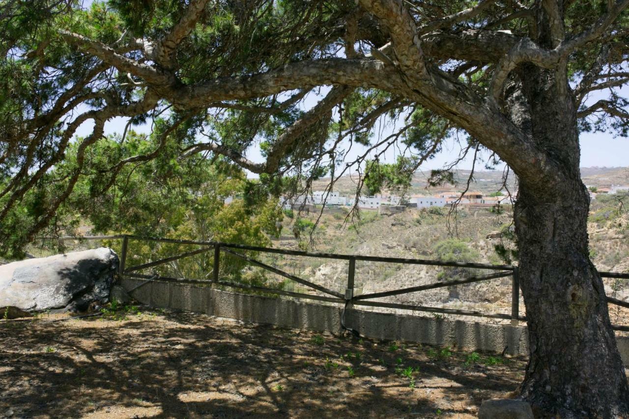 La Malvasía Arico Viejo Exterior foto