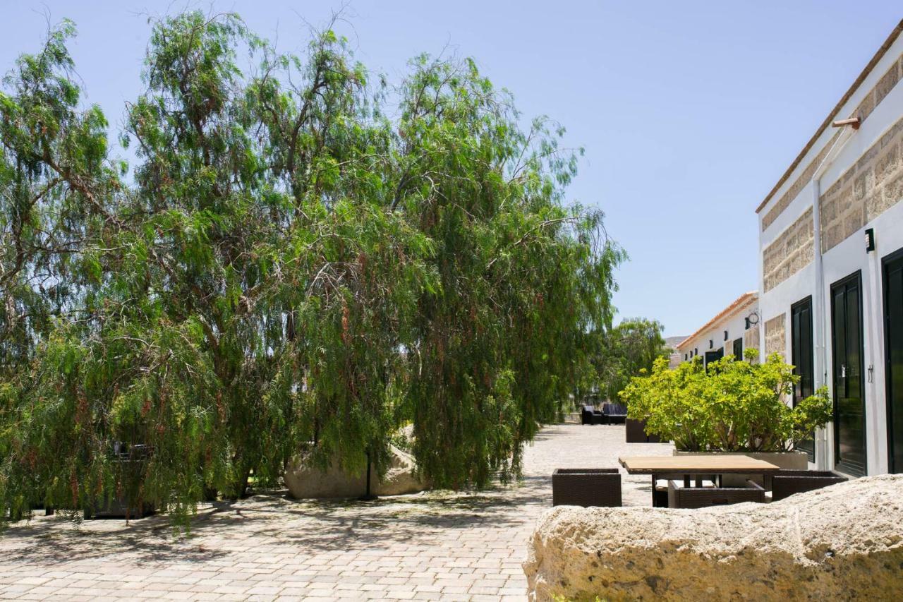 La Malvasía Arico Viejo Exterior foto